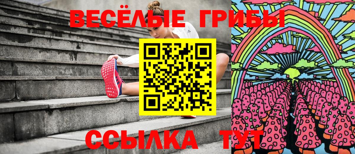 Галлюциногенные грибы прущие грибы Солнечногорск